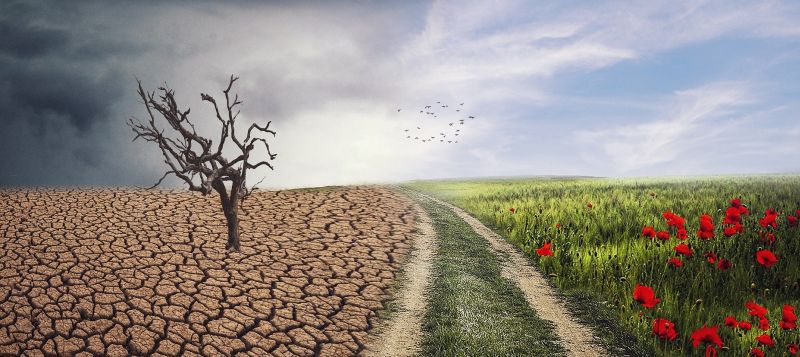 El cambio climático estimula al seguro agrario